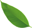 http://leaf